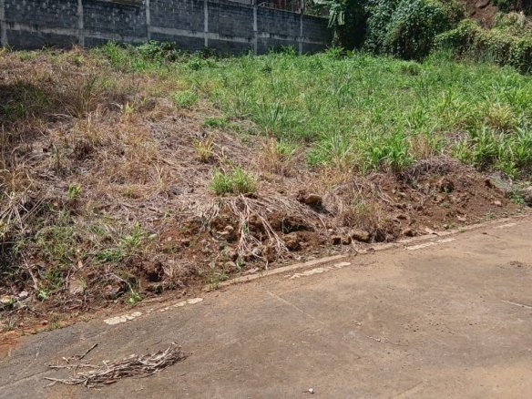 Land for Sale in Réunion Vacoas – Prime Opportunity!
