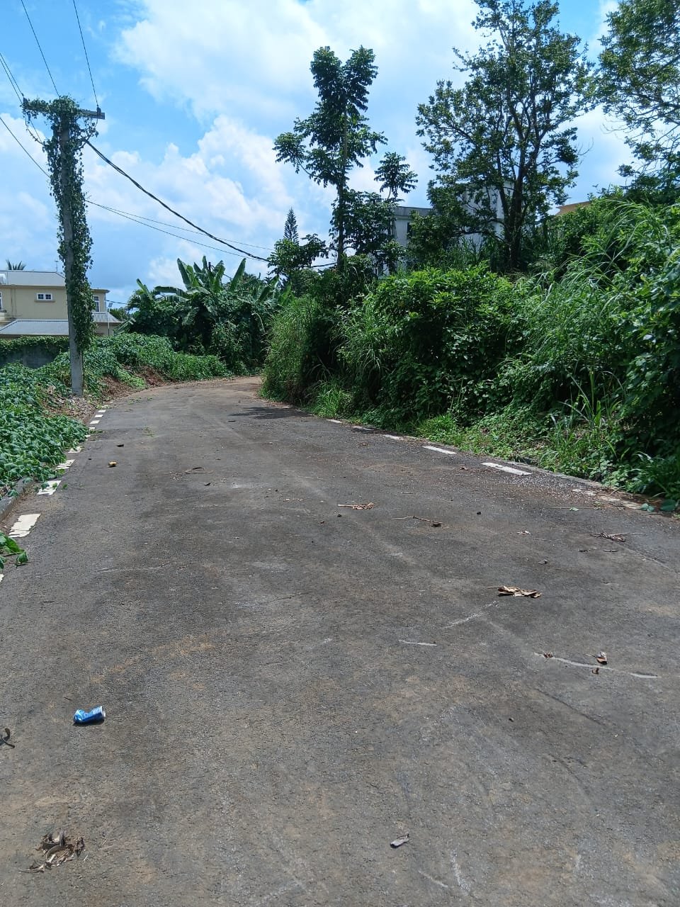 Land for Sale in Réunion Vacoas – Prime Opportunity!