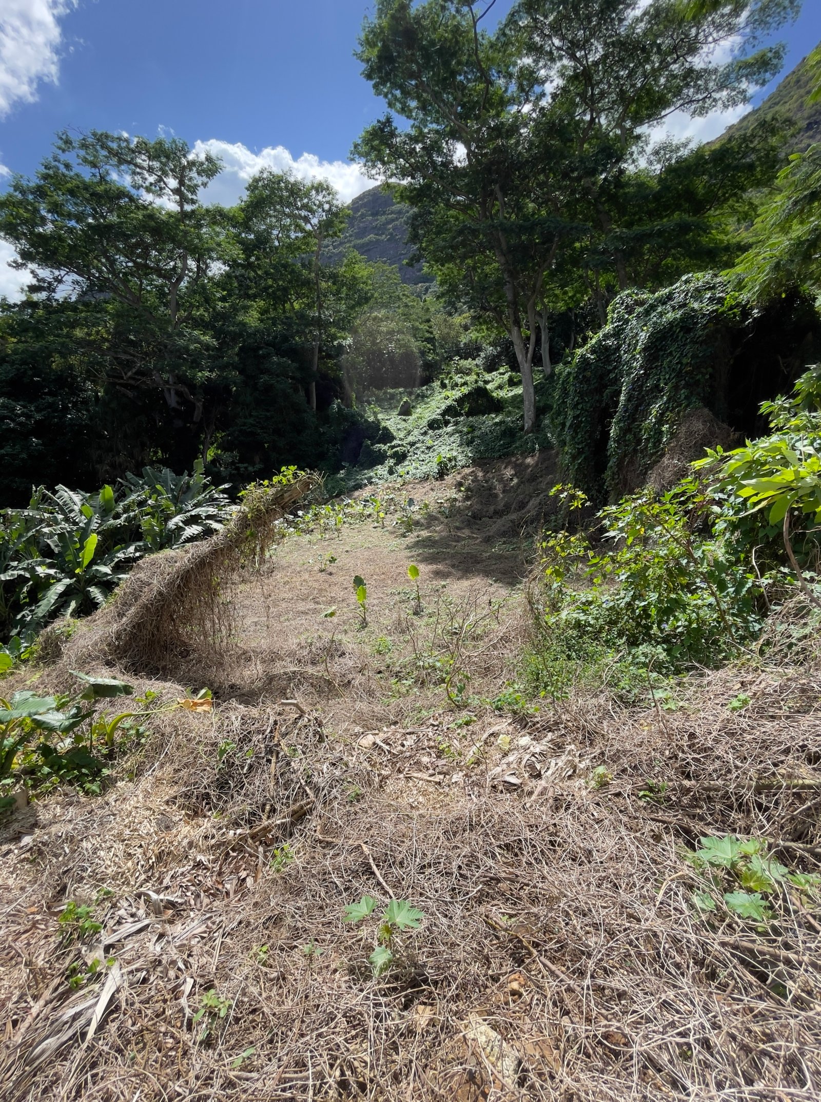 IMG_0355 Premium Residential Land For Sale – Mount Ory, Moka