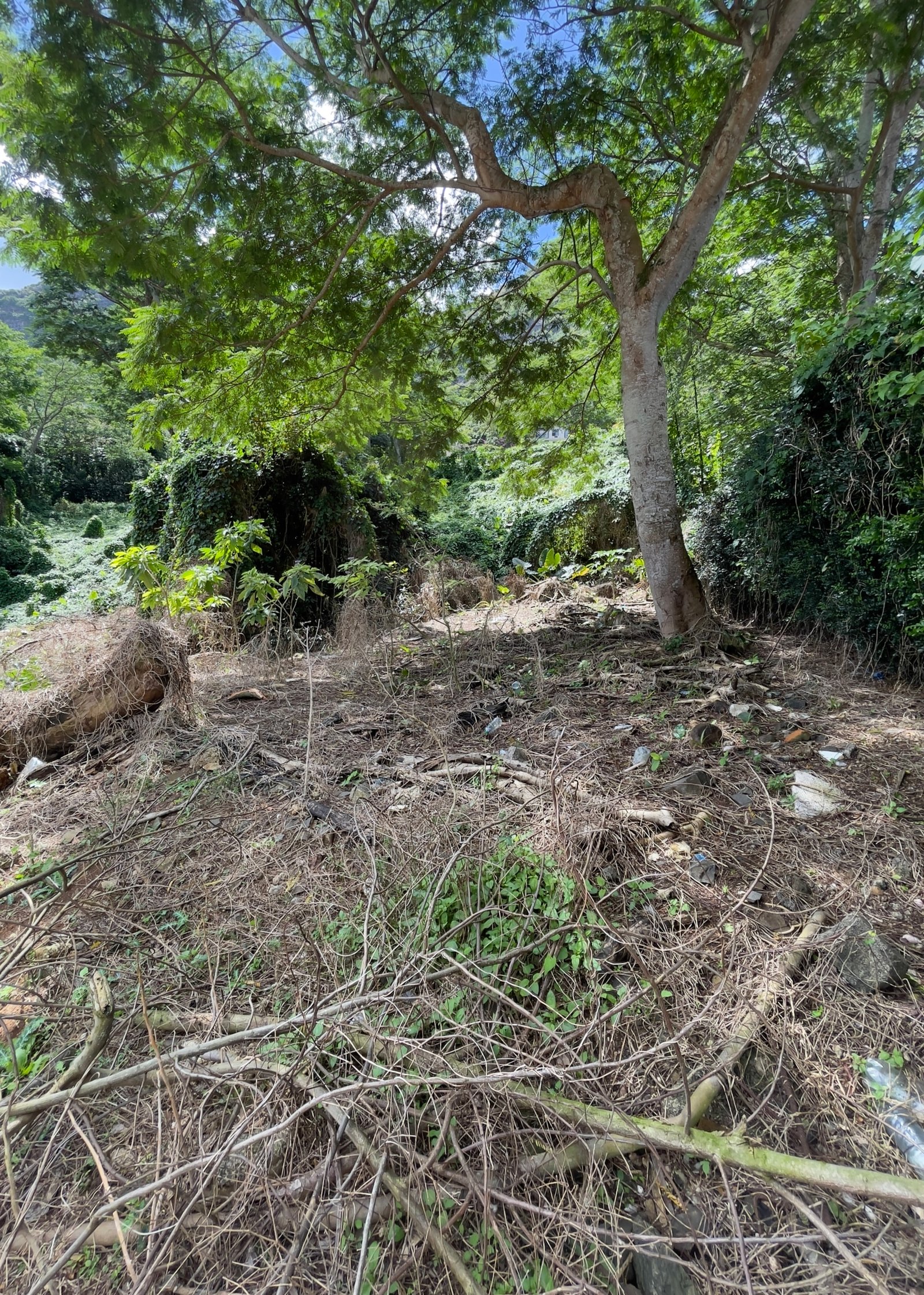 IMG_0358 Premium Residential Land For Sale – Mount Ory, Moka