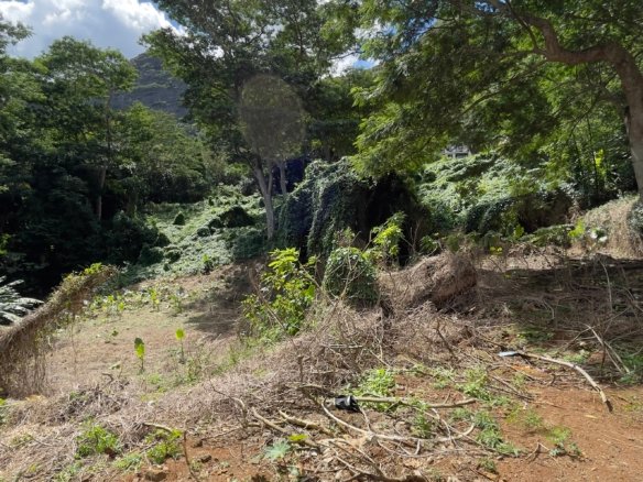 Premium Residential Land For Sale – Mount Ory, Moka