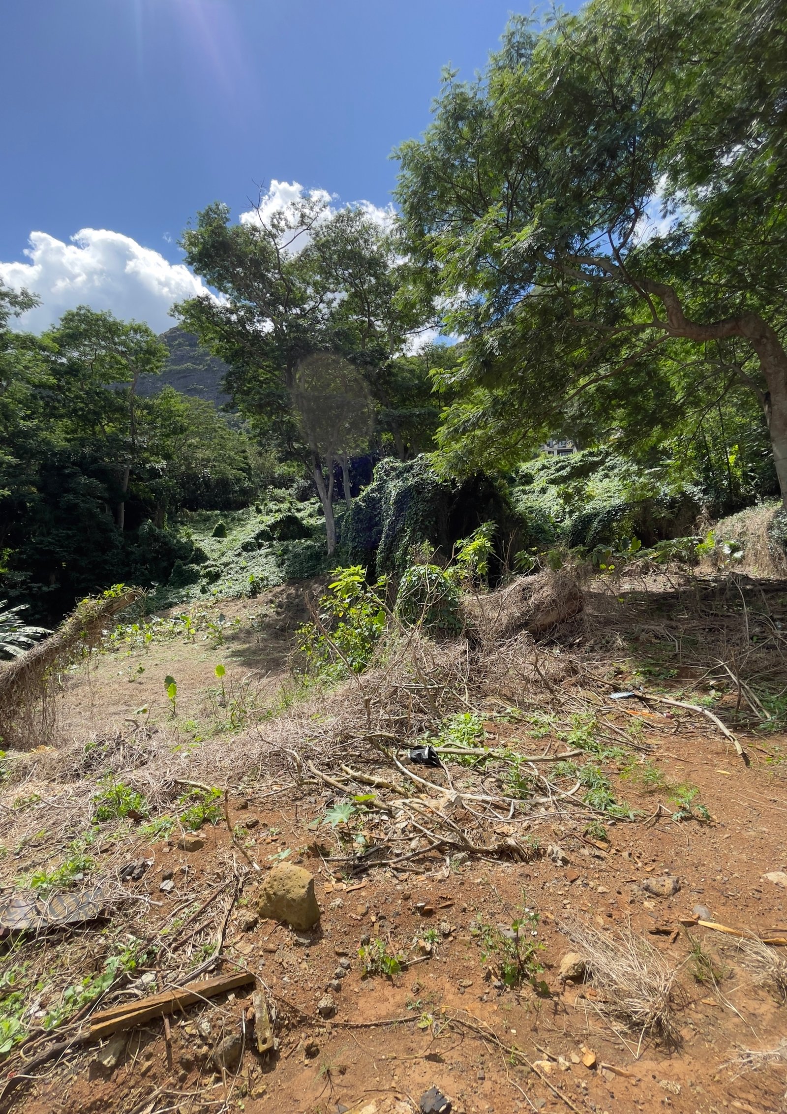 IMG_0359 Premium Residential Land For Sale – Mount Ory, Moka