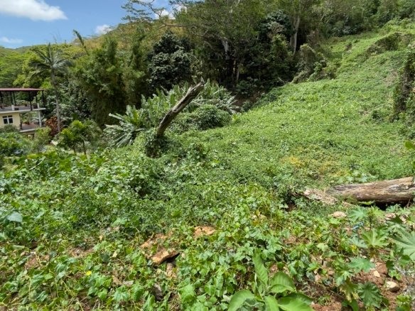 Premium Residential Land For Sale – Mount Ory, Moka