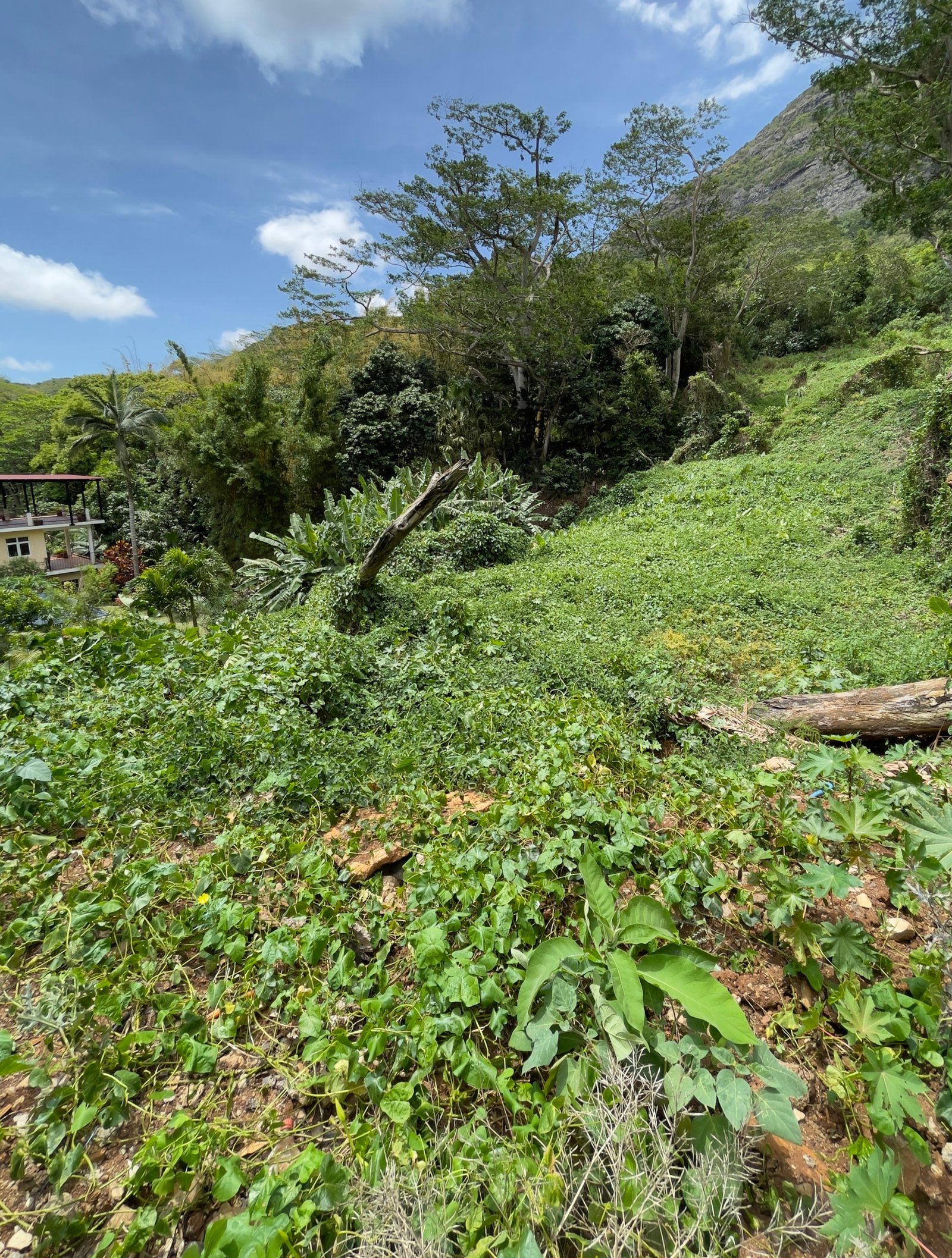 Premium Residential Land For Sale – Mount Ory, Moka