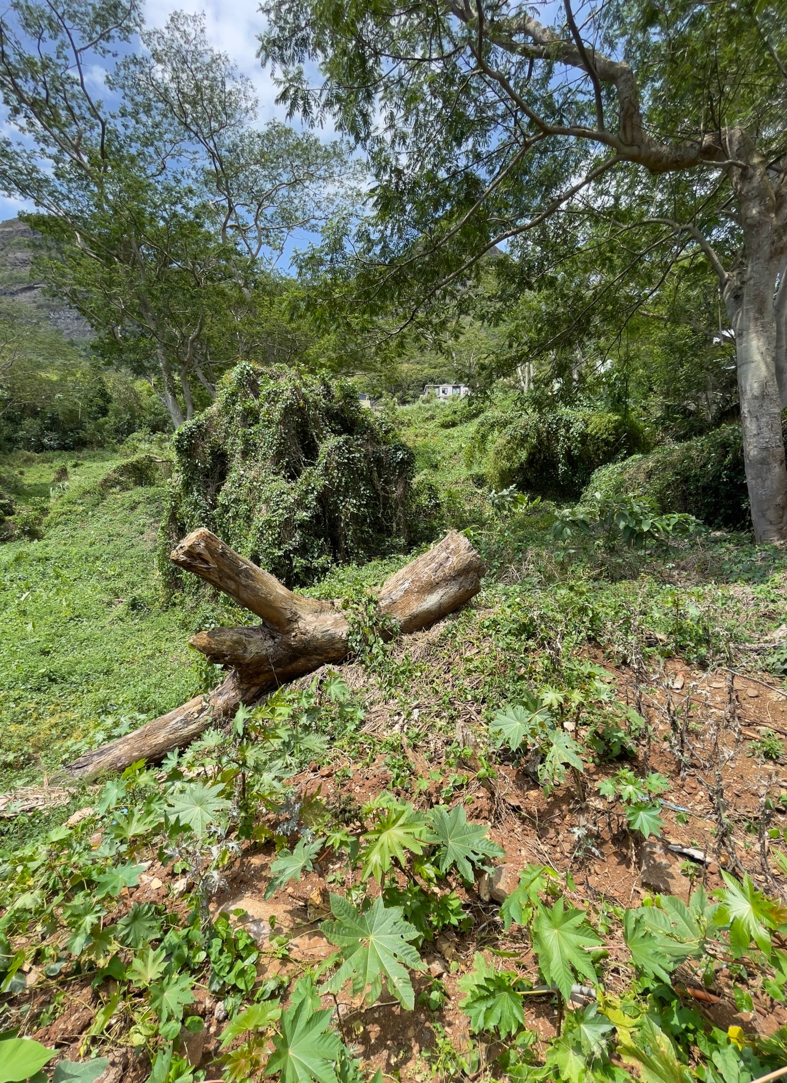 Premium Residential Land For Sale – Mount Ory, Moka