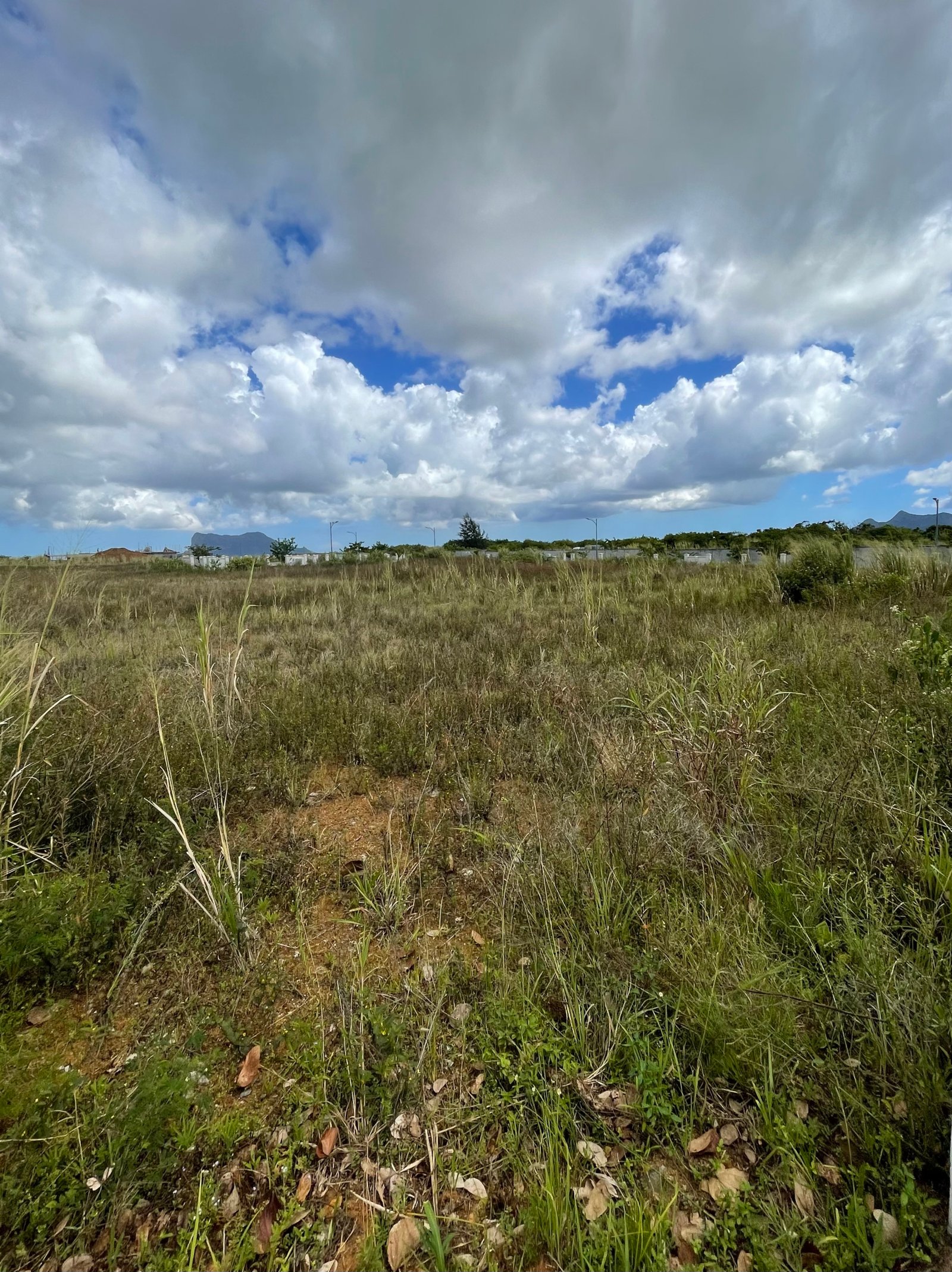 IMG_8571 Residential Land for Sale in Iremia Hermitage
