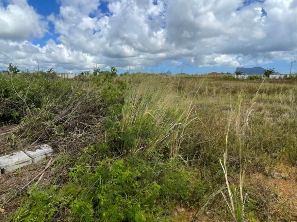 Residential Land for Sale in Iremia Hermitage