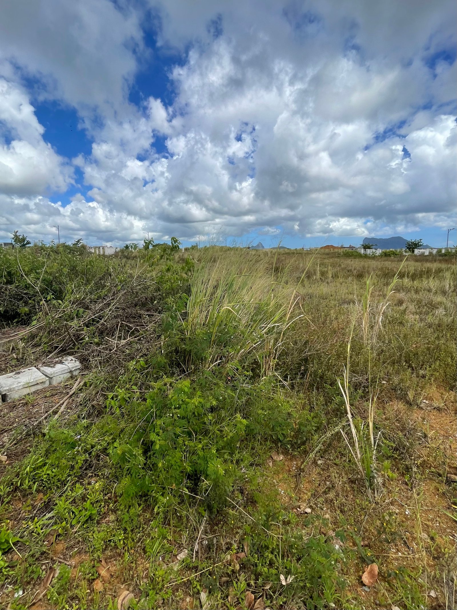 IMG_8572 Residential Land for Sale in Iremia Hermitage
