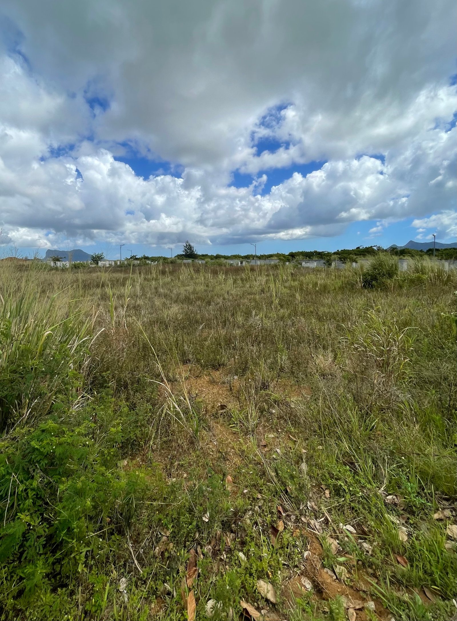IMG_8573 Residential Land for Sale in Iremia Hermitage