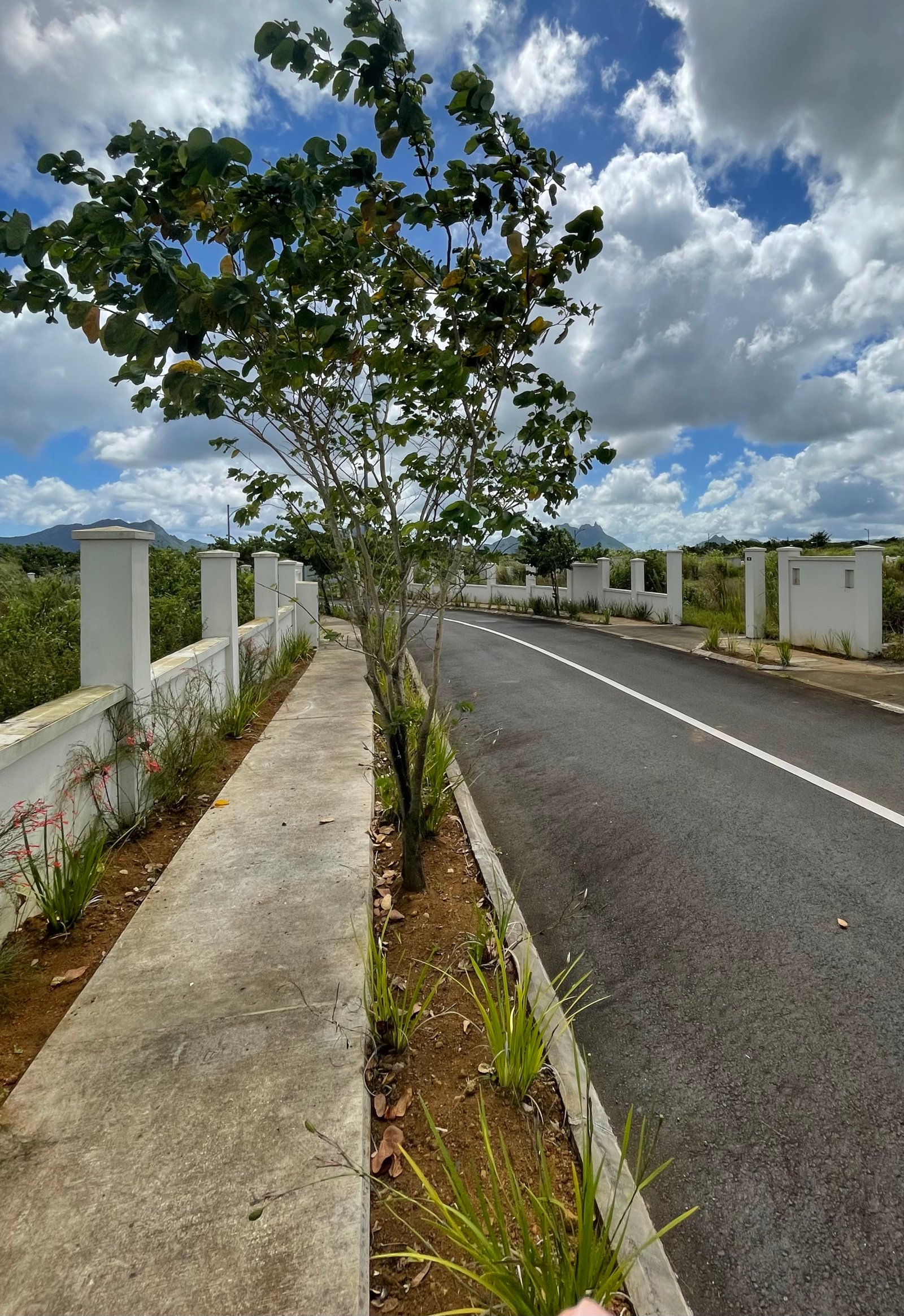 IMG_8574 Residential Land for Sale in Iremia Hermitage