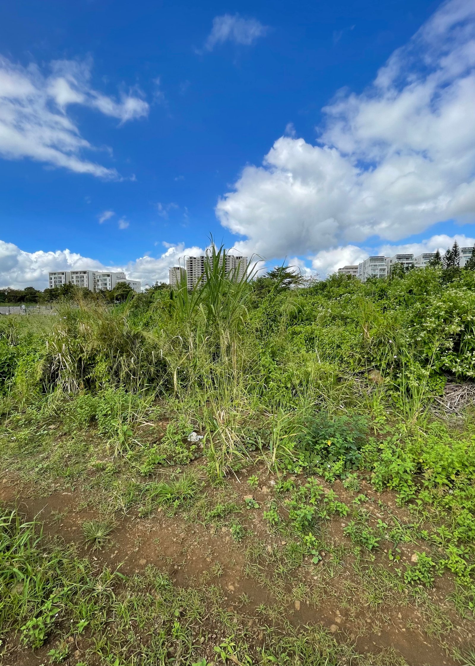 Massive Premium Land for Sale in Sodnac, Mauritius