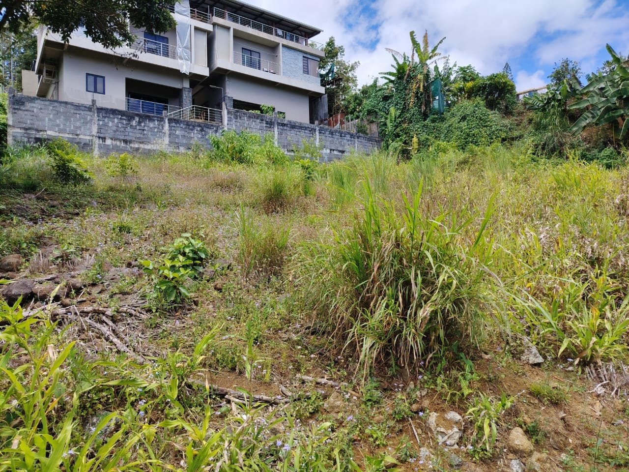 Land for Sale in Réunion Vacoas – Prime Opportunity!