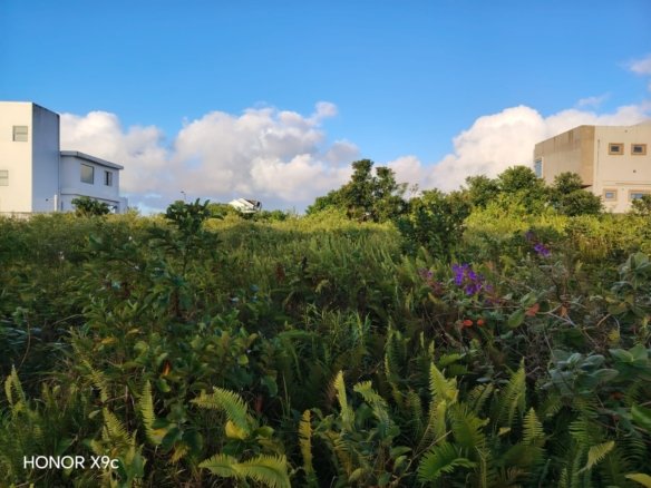 Prime Residential Land for Sale in Aurea Hermitage, Mauritius