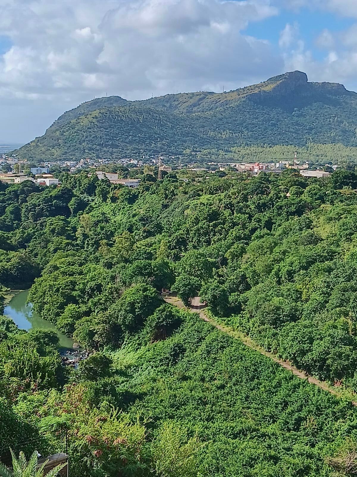 Beautiful Apartment For Sale at The Verge – Coromandel