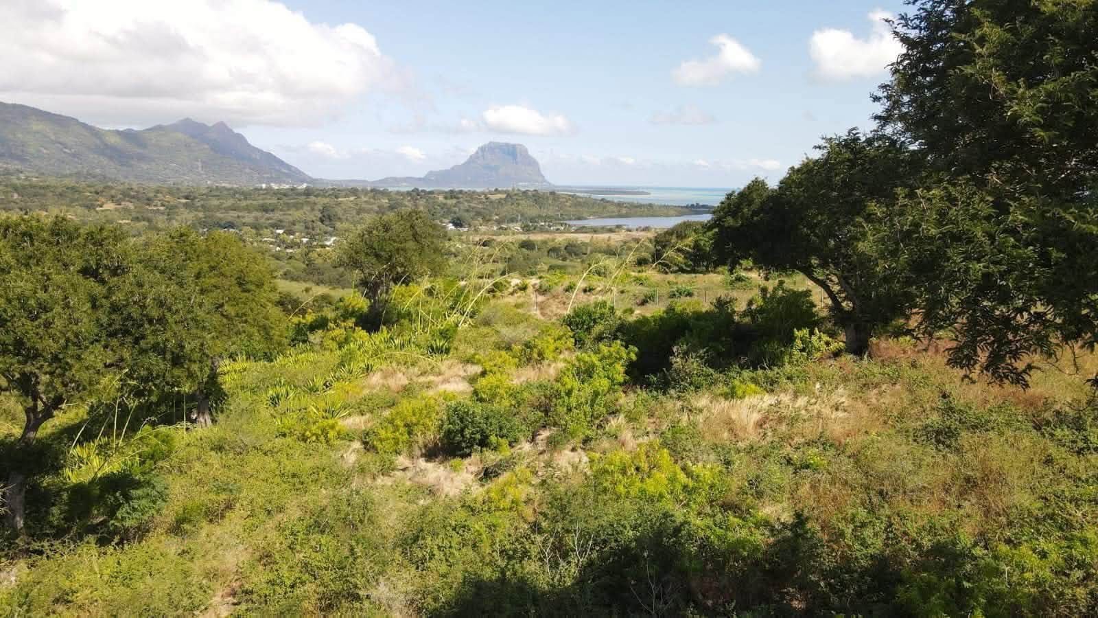 Prestigious Sea & Mountain View Land For Sale | Domaine Palmyre, Petite Rivière Noire